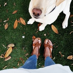 Chambray Jogger Pants
